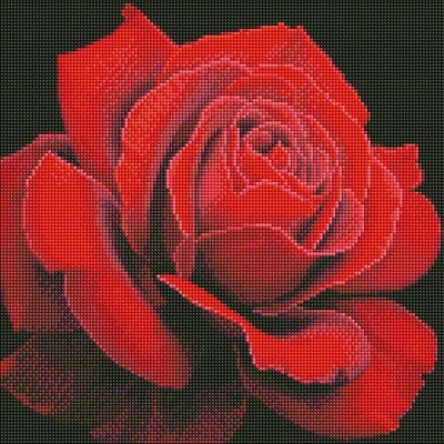 Алмазна мозаїка Червона троянда annasteshka Идейка 40х40 (AMO7634) AMO7634 фото