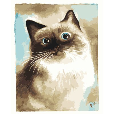 Картина за номерами ПРЕМІУМ Дивовижна кішка розміром 40х50 см Strateg (DY180) DY180 фото