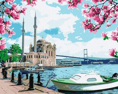 Картина за номерами Яскравий Стамбул 40х50 Ідейка (KHO2757) KHO2757 фото