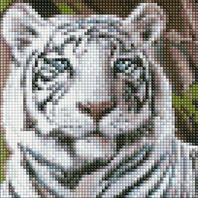 Алмазна мозаїка без підрамника Бенгальський тигр Идейка 20х20 (AMC7681) AMC7681 фото