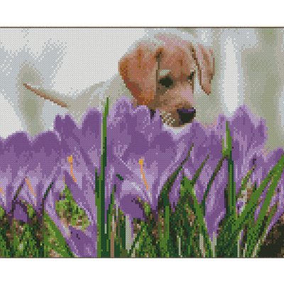 Алмазна мозаїка Песик над фіолетовими квітами 30х40 см Strateg (KB021) KB021 фото