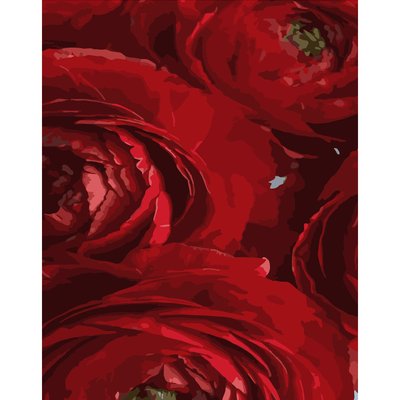 Картина за номерами Червоні квіти розміром 40х50 см Strateg (DY258) DY258 фото