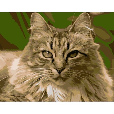 Картина за номерами ПРЕМІУМ Горда кішка розміром 40х50 см Strateg (DY186) DY186 фото