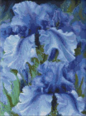 Алмазна мозаїка на підрамнику Блакитні іриси ©Юлія Томеско 40х50 (AMO7129) AMO7129 фото
