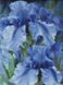 Алмазна мозаїка на підрамнику Блакитні іриси ©Юлія Томеско 40х50 (AMO7129) AMO7129 фото 1