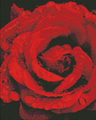 Алмазна мозаїка Троянда в діамантах 40х50 Идейка (AMO7501) AMO7501 фото