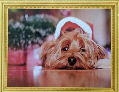 Алмазная мозаика Рождественский щенок 30*40 см на подрамнике в коробке (MAD003) MAD003 фото