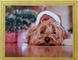 Алмазна мозаїка Різдвяне щеня 30*40 см на підрамнику в коробці (MAF012) MAD003 фото 1