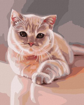 Картина за номерами Улюблений пухнастий котик 40х50 Ідейка (KHO4489) KHO4489 фото