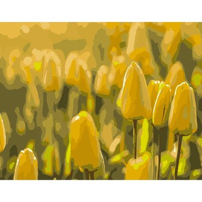 Картина за номерами Жовті тюльпани 40х50 см Strateg (DY090) DY090 фото