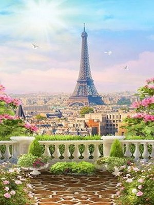 Алмазна мозаїка Прекрасний вид Парижа 30*40 см без рамки 40 * 8 * 5 см (C526) C526 фото