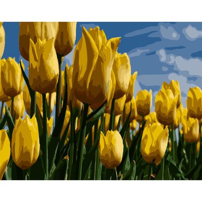 Картина за номерами ПРЕМІУМ Поле жовтих тюльпанів розміром 40х50 см Strateg (GS260) GS260 фото