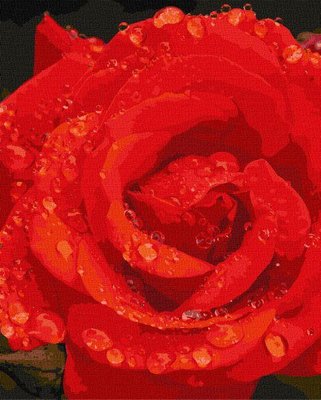 Картина за номерами Троянда в діамантах 40х50 Ідейка (KHO3207) KHO3207 фото