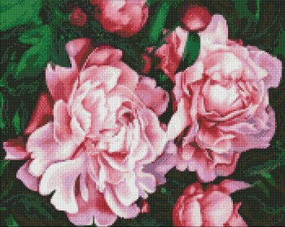 Алмазна мозаїка Пишне цвітіння 40x50 Ідейка (AMO7638) AMO7638 фото