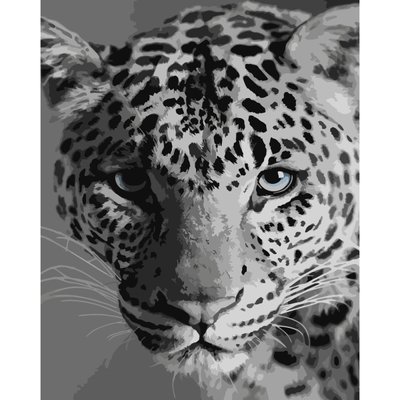 Картина за номерами Леопард розміром 40х50 см Strateg (SY6668) SY6668 фото