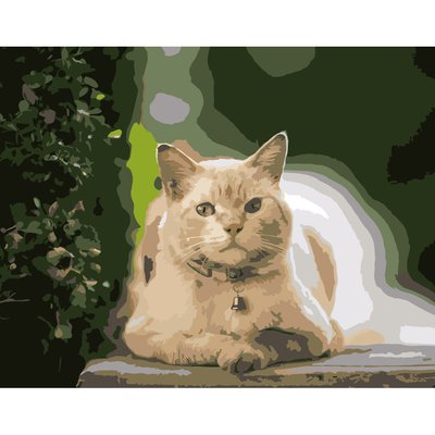 Картина за номерами ПРЕМІУМ Кіт на відпочинку розміром 40х50 см Strateg (DY182) DY182 фото