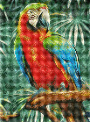 Алмазна мозаїка Радужний папужка 30х40 Идейка (AMO7492) AMO7492 фото