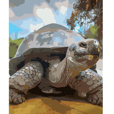 Картина за номерами Доросла черепаха розміром 40х50 см Strateg (GS582) GS582 фото