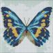 Алмазна мозаїка без підрамника Блакитний метелик з голограмними стразами (AB) Идейка 20х20 (AMC7679) AMC7679 фото 1