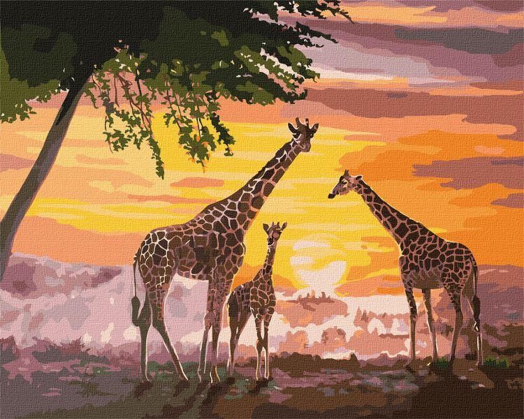 Картина по номерам Семья жирафов ©ArtAlekhina Идейка 40х50 (KHO4353) KHO4353 фото