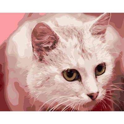 Картина за номерами Strateg Жовтоокий кіт 40х50 см (GS1325) GS1325 фото
