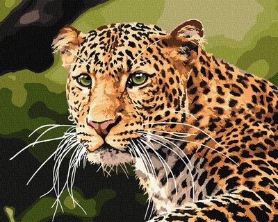 Картина за номерами Зеленоокий леопард Ідейка 40х50 (KHO4322) KHO4322 фото